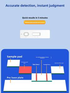 Kit de <span class=keywords><strong>test</strong></span> rapide AmywellMED CPV CDV FPV Ag pour animaux de compagnie - Réactif de détection du parvovirus canin/ de la maladie de Carré/ de la panleucopénie féline - Product Image 5