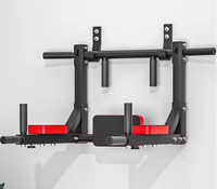 Station de musculation tout-en-un unisexe pour usage domestique, barre de traction murale en acier inoxydable, exercices pour les bras, les triceps, la poitrine et le dos