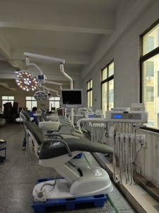 Système intégré de capteur de radiographie dentaire nouvelle génération et imagerie haute résolution à portée de main - OSAKADENTAL - Product Image 1