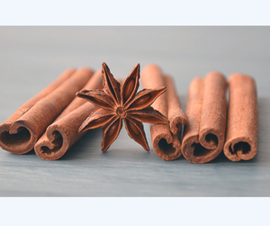 Venta al por mayor de hierbas frescas de canela y canela orgánica, alta calidad de Vietnam - Product Image 3