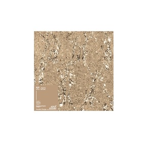 High on Demand 600x600 Gvt/Pgvt Porcelain Floor Tiles for Hotel Matte Vitrified Tiles Acid-Resistant Anti-Slip - Product Image 1