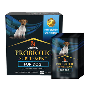 Salute dell'apparato digerente Pet probiotico e prebiotico miscela regolazione intestinale Pet probiotico polvere - Product Image 2
