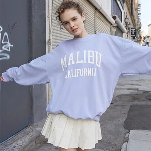 OEM Logo personnalisé col rond imprimé lourd classique polaire vêtements de sport en coton surdimensionné à manches longues sweatshirts pour femmes - Product Image 1