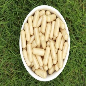 Pure Wellness Daily Amla Capsules Extrait de plantes de Superfruit ayurvédique traditionnel Forme moderne pratique pour la santé quotidienne - Product Image 2