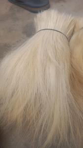 Pelo de cabra de alta calidad/Pelo Largo de cabra la materia prima que hace el pelo de la peluca de la muñeca - Product Image 4