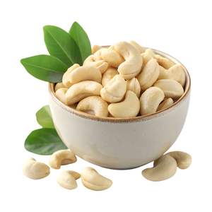 High Quality Organic Vietnam Cashew Nuts W320 Roasted Bulk Raw Cashews Competitive Prices for Dried Fruits Nuts AFI Certified - Product Image 6