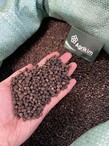 Échantillon gratuit de poivre noir du Vietnam, poivre noir entier cru, processus AD, piment séché, épice, certifié ISO, fournisseur fiable +84363565928 - Product Image 3