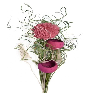ADVAITH - Difusor de Aromas Hecho a Mano con Flores de Sola y Varillas de Ratán, Ramo Natural de Bengala Occidental para Bodas, Día de la Madre, Día de San Valentín - Product Image 3