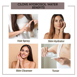 Hidrosol de Clavo, Producto de Especias y Hierbas - Product Image 5