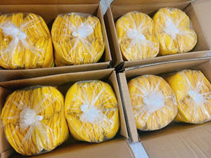 Tranches de mangue séchées sucrées à la texture moelleuse et douce emballées en vrac pour les grossistes en fruits, les entreprises de snacks et les clients importateurs - Product Image 2