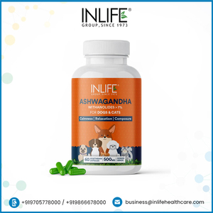 Ashwagandha 500มก. สำหรับสัตว์เลี้ยง60แคปซูลผัก - Product Image 2