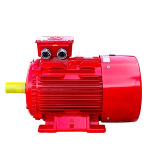 Motor eléctrico trifásico industrial de CA 50Hz 60Hz Carcasa de hierro fundido Motor asíncrono de núcleo de cobre 100% de fábrica de Vietnam - Product Image 5