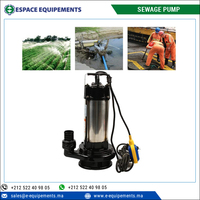 Pompe à eau électrique de jardin à haute pression, haute Performance, fréquence de 50Hz, pour les eaux usées, provenant d'un fabricant de confiance