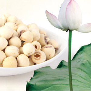 Best Seller Exporting Standard Frozen Lotus <b>Nut</b> with Reasonable Price - Product Image 5