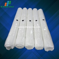 Clair transparent Leno 60GSM Ukraine marché meilleur vendeur Pe bâche feuille de toiture bas prix microperforé