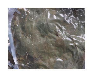 Hoja de Guanábana Seca de Alta Calidad de Vietnam, Hoja de Guanábana Seca Seleccionada al por Mayor de un Proveedor Confiable - Product Image 2