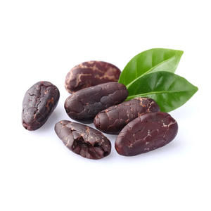 Granos de cacao a granel al por mayor, granos secos orgánicos de alta calidad para exportación, ideal para mantequilla de chocolate en polvo y alimentos internacionales - Product Image 5