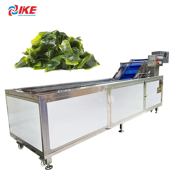 Ozone plant washing equipment lettuce food wash equipment seaweed washing machine