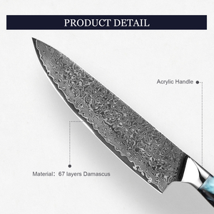 Vente en gros personnalisé de haute qualité OEM ODM professionnel Fix lame tranchante couteau de cuisine en acier Damas couteau de chef avec poignée - Product Image 2