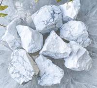 Pierres de Guérison en Cristal Blanc en Gros : Howlite Naturelle Brute, Style Amour, Haute Qualité, Écologique, Décoration d'Intérieur, Lot en Vrac