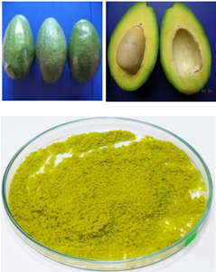 แห้งอะโวคาโดผงขายร้อนในเวียดนาม - Product Image 3