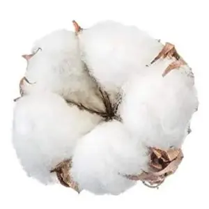 Natural Cotton Bundle Quality Grade Raw Cotton Fiber / Raw Cotton Exporter From Canada
