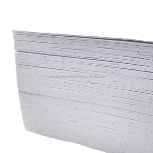 Hojas de papel plantable hechas a mano de 250 Gsm respetuosas con el medio ambiente de alta calidad al mejor precio, tamaño A4 A5 personalizado, paquete de 10 hojas India High - Product Image 1