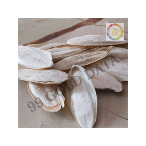 Hueso de sepia Premium para pájaros de compañía ayuda a recortar los picos y proporciona minerales esenciales para la salud diaria - Product Image 6