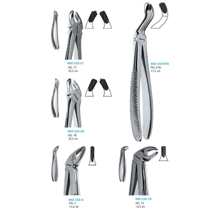 Forceps d'extraction dentaire manuels, instruments chirurgicaux, 151 incisives inférieures, extraction dentaire, acier inoxydable allemand, modèle - Product Image 3