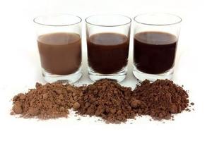 <span class=keywords><strong>Polvo</strong></span> de <span class=keywords><strong>cacao</strong></span> alcalinizado marrón muy oscuro de alto <span class=keywords><strong>valor</strong></span> de PH 10-12% grasa procesada por Dutch - Product Image 3