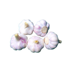 Ajo blanco normal fresco y ajo blanco puro de alta calidad y precio competitivo - Product Image 1