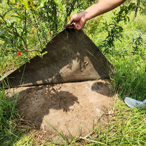 Feutre Voiture Plaine Lumière Personnalisé Anti Techniques Style Tissu Motif Agriculture Jute Couleur Caractéristique Poids Eco Matériel Brun Rouleau - Product Image 1