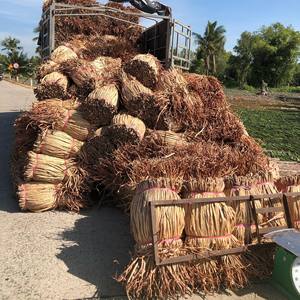 Bales de jacinthe d'eau séchée brutes en gros provenant de la ferme du Vietnam, prix naturel du jacinthe d'eau séchée - Product Image 5