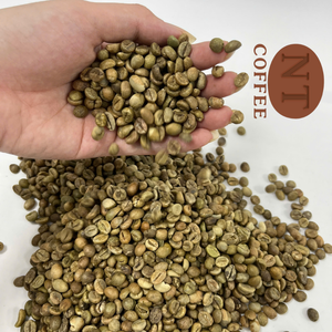 Grains de café vert Robusta du Vietnam soigneusement triés sur le volet Qualité Highland de qualité supérieure pour torréfacteurs spécialisés Fourniture OEM ODM - Product Image 4
