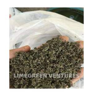 Alimento Orgánico de Azolla en Polvo Seco, Alto en Proteínas para Ganado, Aves y Peces, Marca Double Tongues, Fabricante LimeGreen Ventures - Product Image 3