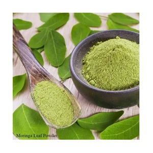 ผงใบมะรุมคุณภาพดี ราคาขายส่งจากอินเดีย จากสารสกัดจากมูรุงไกจากอินเดีย - Product Image 5