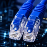 Cordon de brassage fibre optique LC-LC blindé extérieur haute performance, étanche, G652D Duplex, gaine PE 5,0 mm, IP67 pour FTTA et station de base 5G