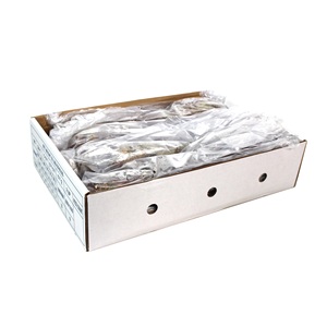 กุ้งก้ามกรามคุณภาพสูง สด/แช่แข็ง มีจำหน่ายในราคาประหยัด - Product Image 6