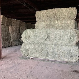 Heno de alfalfa para comercio global, alimento animal rico en proteínas para agricultores y distribuidores internacionales. En venta. - Product Image 4