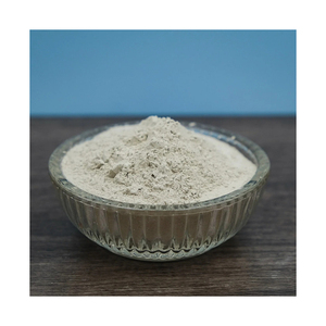 Poudre de peptides de riz la plus vendue pour la fourniture en gros et les marchés du commerce international - Product Image 3