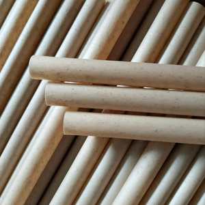 La mejor elección de pajitas de caña de azúcar sin PLA ecológicas y desechables | ViGi Farm Vietnam - Product Image 5