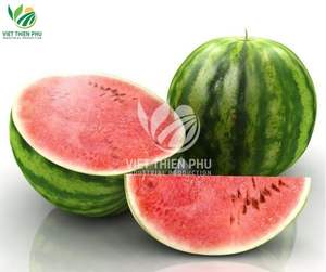 Sandía Congelada Orgánica VIET THIEN PHU, Procesada con LQF, Alta Calidad, Envasada al Vacío, Directamente de Vietnam - Product Image 1