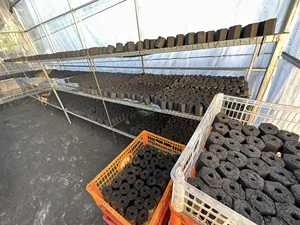 Charbon de bois hexagonal sans fumée pas cher, briquettes de bois dur pour barbecue, vente en gros - Product Image 3