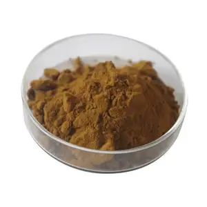 Black Ginger Root Extract Powder 5% Black Ginger Extract