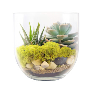 VBW3108 - แจกันทรงชาม Peninsula - 8 นิ้ว - Product Image 3