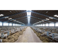 Bâtiment préfabriqué pour moutons et bétail, grande surface, structure en acier antirouille, maison pour chèvres