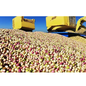 Precio barato de fábrica, 10Kg por Cartón, tuercas, superventas, núcleo de pistacho, tuerca de pistacho larga - Product Image 6