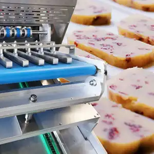 Longyu Made SV620 High Quality Frozen Slicing Cookie Maker