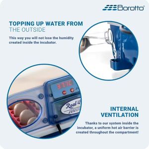 Incubadora de Huevos Semi-Automática Borotto Real 49 para 49 Huevos, 196 Huevos de Codorniz, Máquina Incubadora Automática Hecha en Italia - Product Image 5