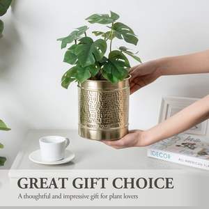 Macetas decorativas de Metal de hierro de alta calidad para el hogar, jardín, boda, plantas de mesa, estantes de diseño de vivero, excelentes suministros - Product Image 4